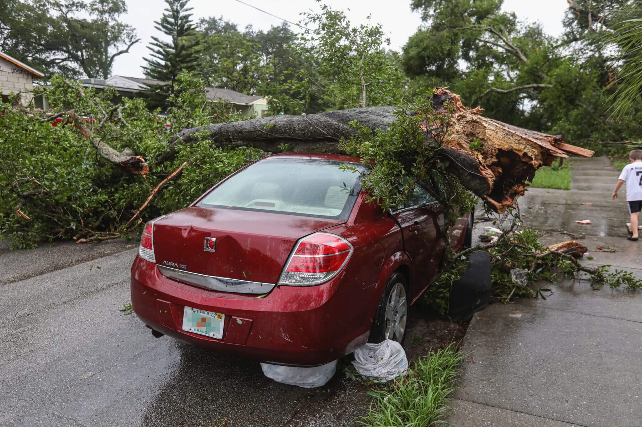 Car damaged by tree in hurricane is covered by auto quote from Emerald Coast Insurance Agency